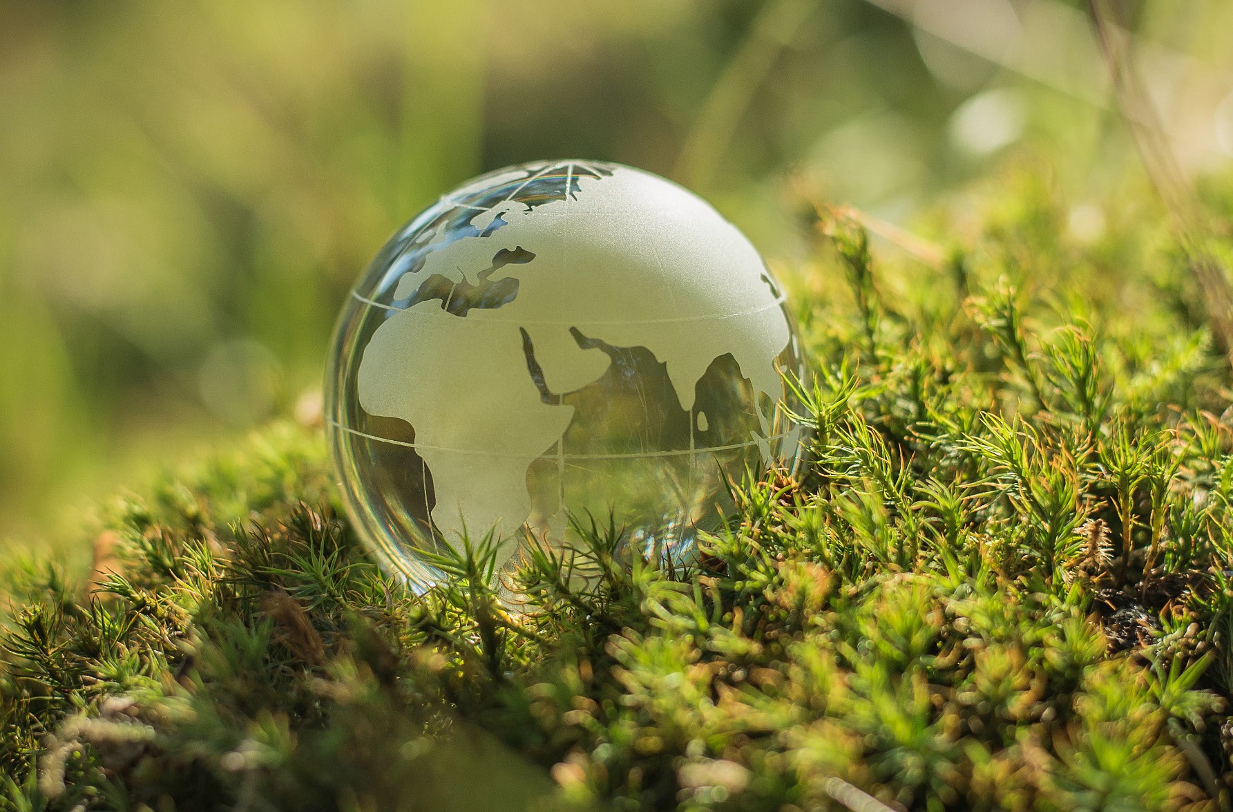 Call for nominations: 2023 PACEY Award | Basel Peace Office